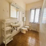 Belvedere Apartment