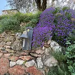 Belvedere * Μαλτσεζίνε