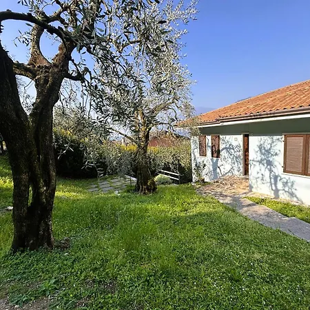 Belvedere Apartment *