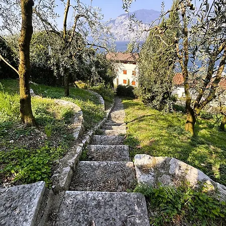 Belvedere Apartment