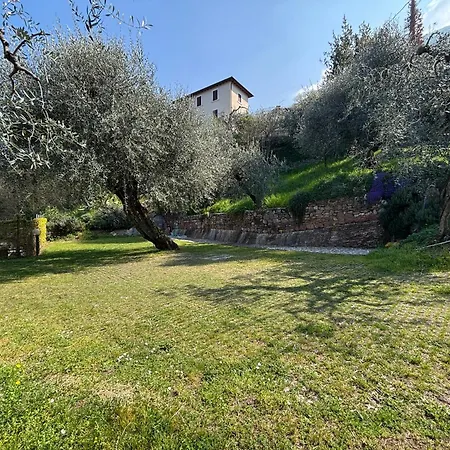 Apartment Belvedere *