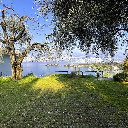 Belvedere