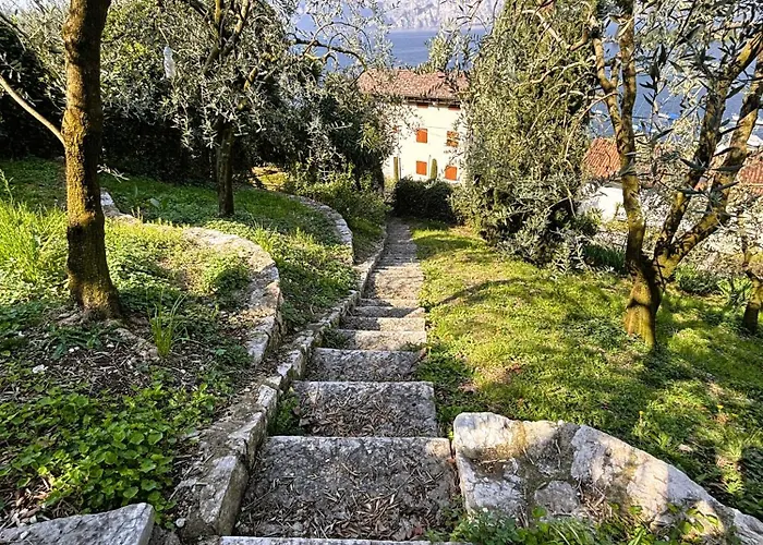 Belvedere Apartamento