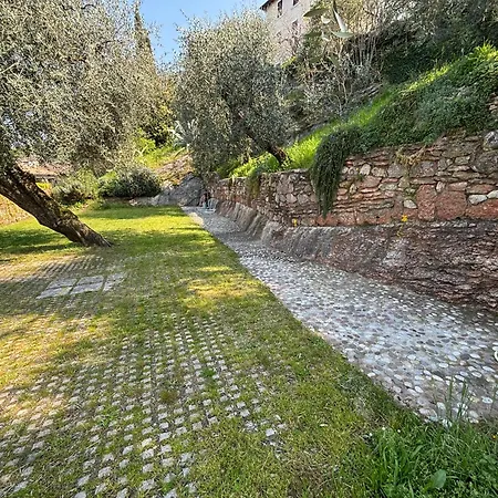 Belvedere 아파트 *