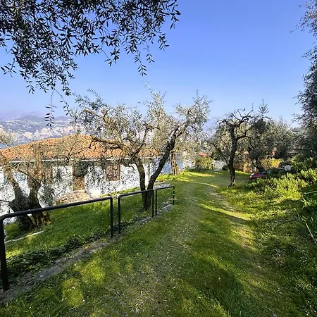 Belvedere * 말세진느