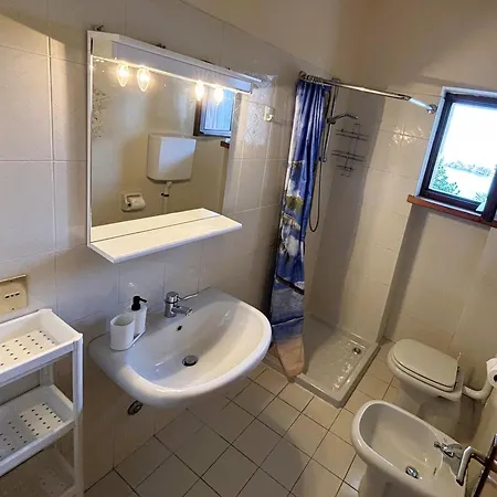 Belvedere 말세진느